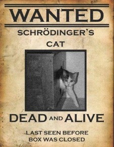 In searh of Schroedinger's cat.